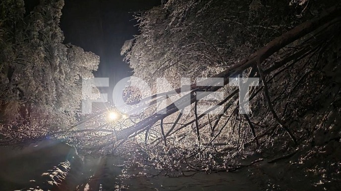 Vitalni objekti pod naponom